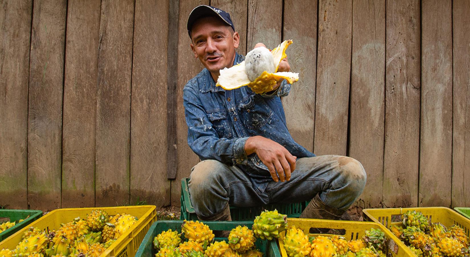 FAO e Brasil lançam curso gratuito sobre sistemas agroalimentares urbanos