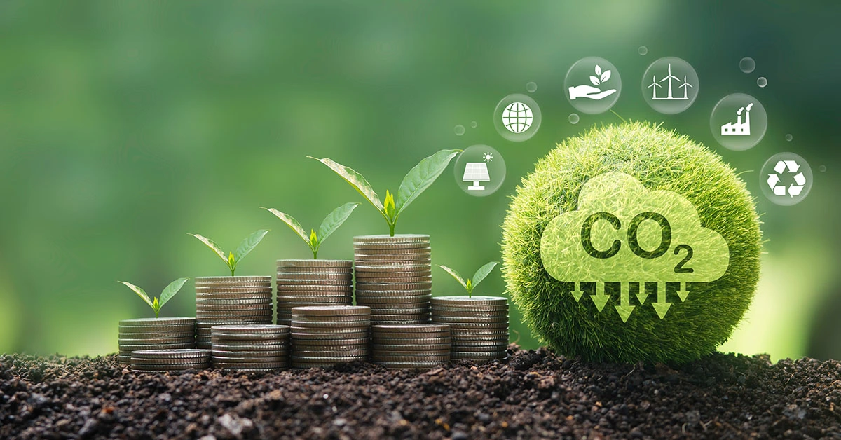 Mercado de carbono: como as cooperativas fazem parte dessa estratégia climática?