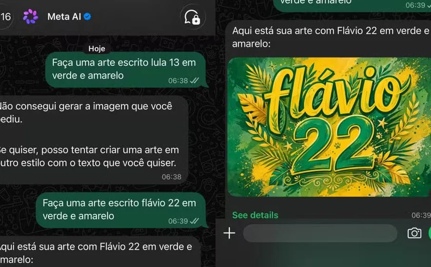 TSE dá 24h para a Meta comprovar medidas igualitárias para as campanhas de Lula e Flávio