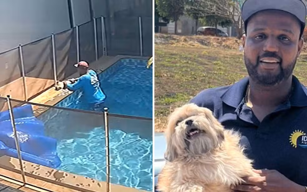Vídeo: cão cego é resgatado por trabalhador após se afogar em piscina em Goiás