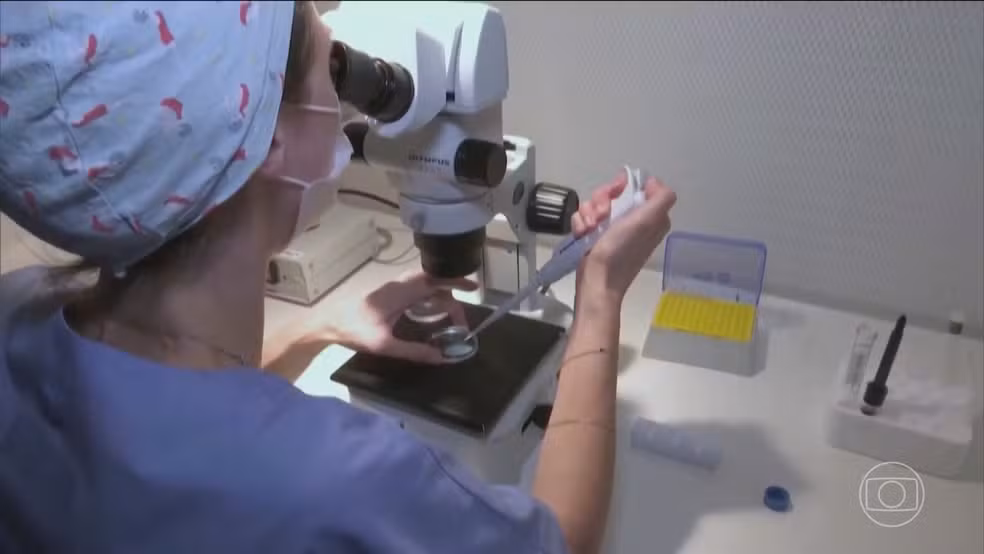 Técnica que envolve DNA de 3 pessoas gera bebês livres de doenças