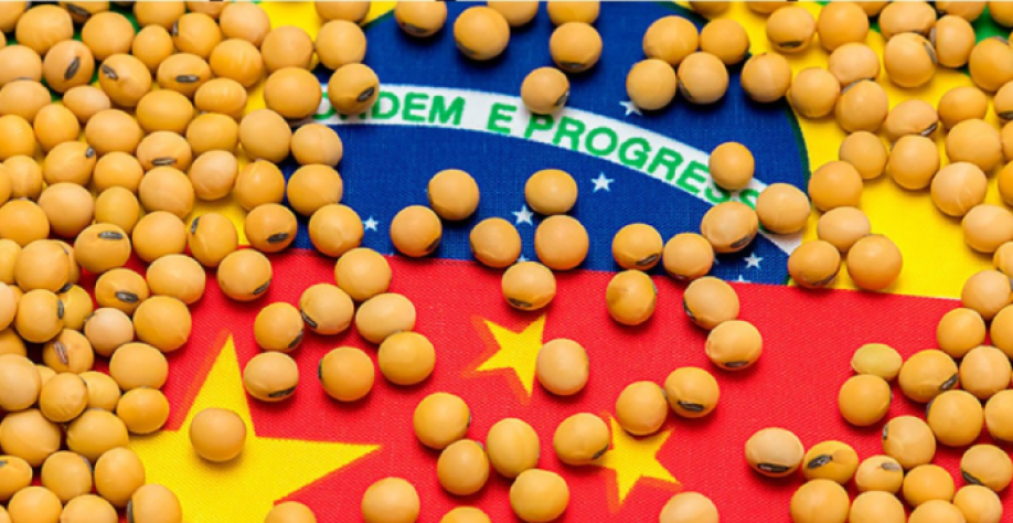Brasil e China discutem inspeção da soja após queda nas negociações