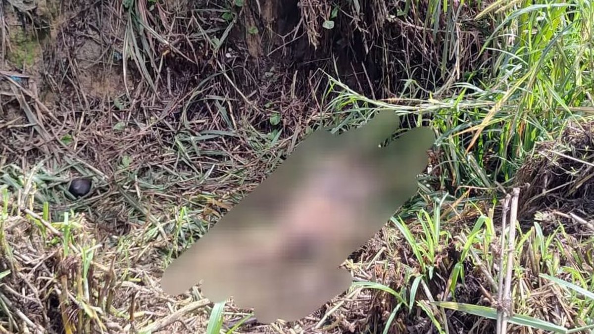 Jovem de 24 anos morto com 40 facadas é identificado em Rio Largo