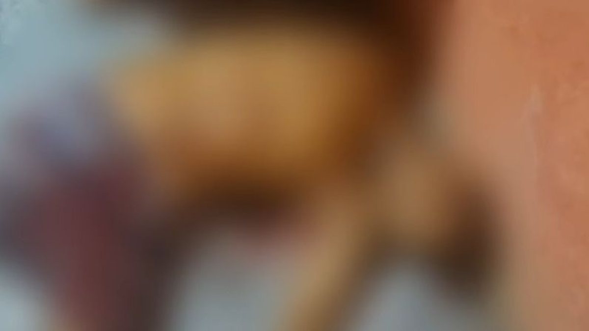 Homem é morto a facadas dentro de casa após bebedeira, em Marechal Deodoro