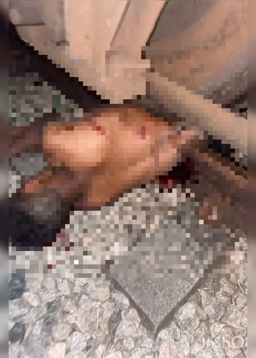 Jovem morto por trem em Rio Largo teria salvado a esposa momentos antes do impacto