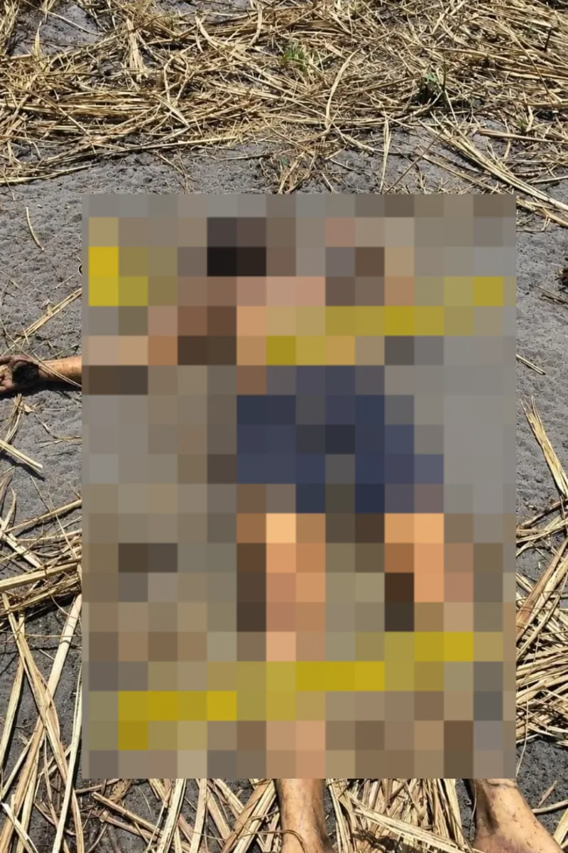 Homem retirado de casa por criminosos é encontrado morto em canavial