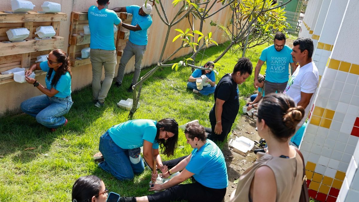 Horta criada por voluntários transforma rotina de 800 alunos em Alagoas