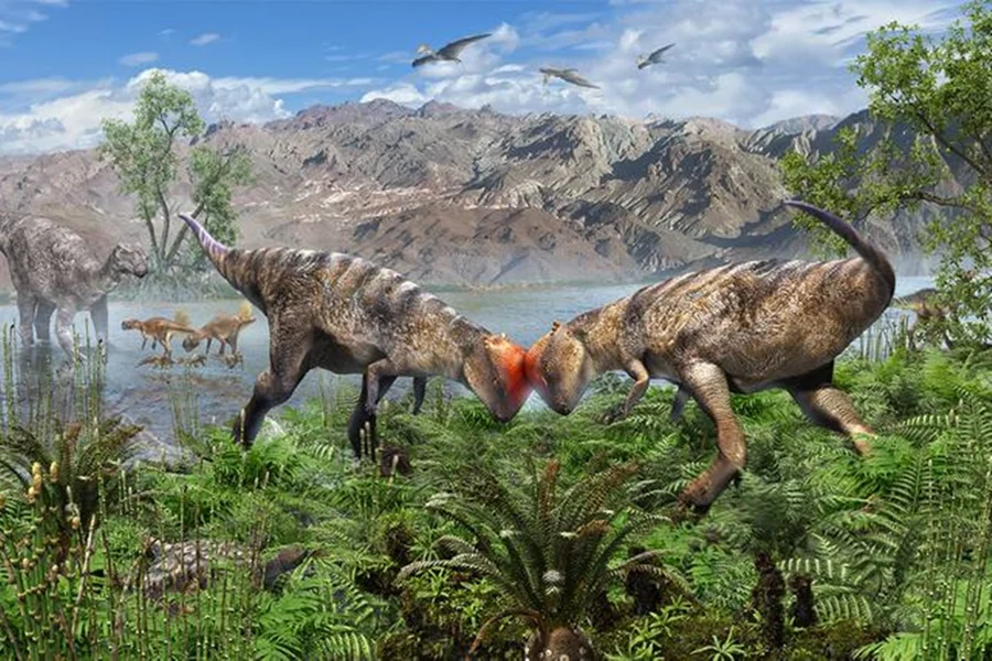 Fósseis revelam hábitos dos dinossauros após milhões de anos de extinção