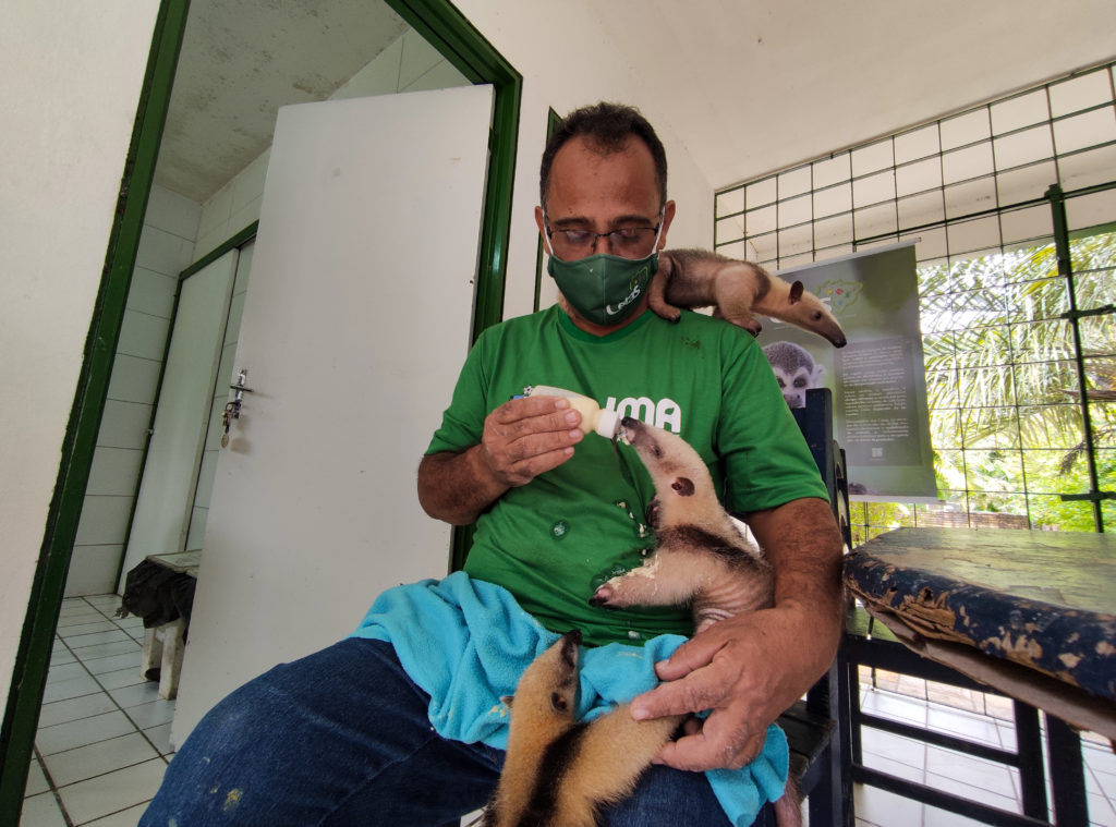 IMA promove campanha de arrecadação para filhotes do Cetas