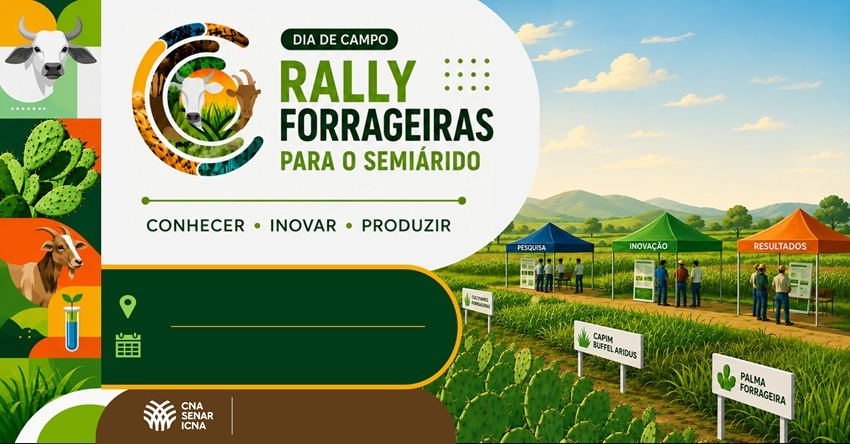 Projeto leva novas tecnologias para alimentação do gado em Alagoas