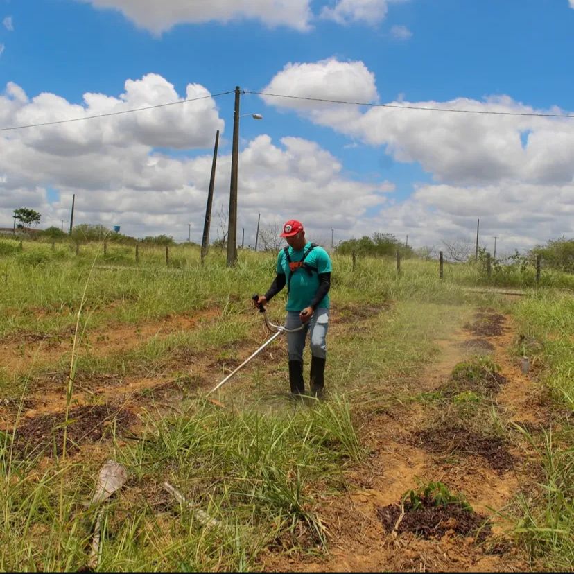 Pesquisa da Ufal fortalece a agricultura familiar em Arapiraca