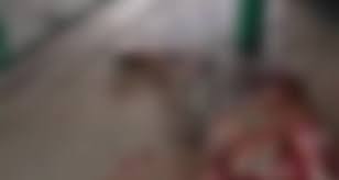 Idosa é presa após esfaquear moradora de rua por lençol em Maceió