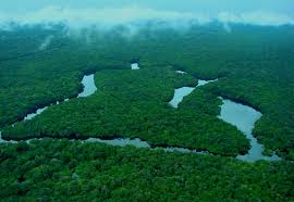 Brasil tem redução dos alertas de desmatamento na Amazônia e no Cerrado