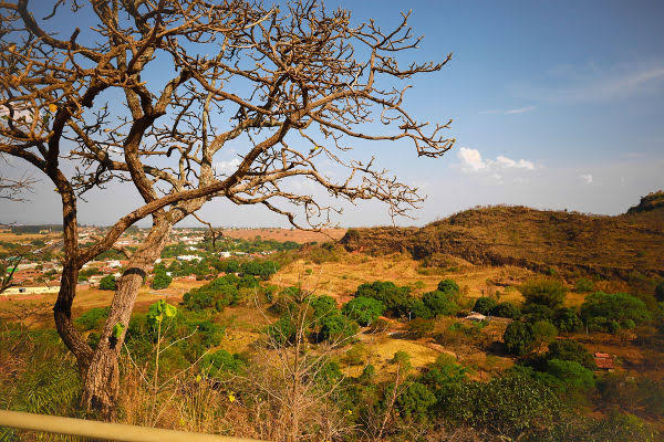 Cerrado: destinos que revelam a riqueza do bioma que é berço das águas