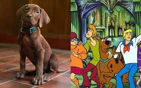 Netflix divulga primeira versão realista de Scooby-Doo em série live-action