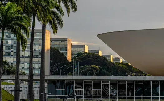 Nikolas, Pavanato e Erika lideram votação para deputado federal