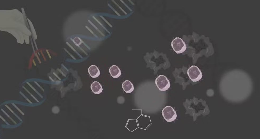 Cientistas criam célula CAR-T 'turbinada' com nanogel para superar barreira de tumores cancerígenos sólidos