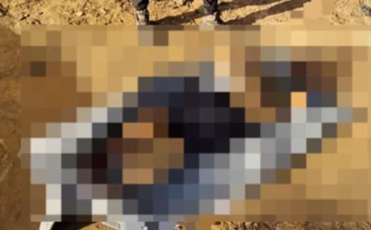 Homem é encontrado decapitado e Polícia Civil investiga caso em Alagoas
