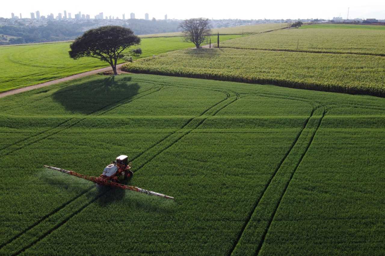 Receita com exportação do agronegócio do Brasil cresce 1,5% em agosto, diz ministério