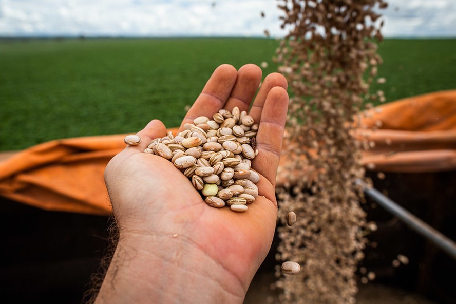 Tendência é de estabilidade para preços agrícolas na safra 2025/26