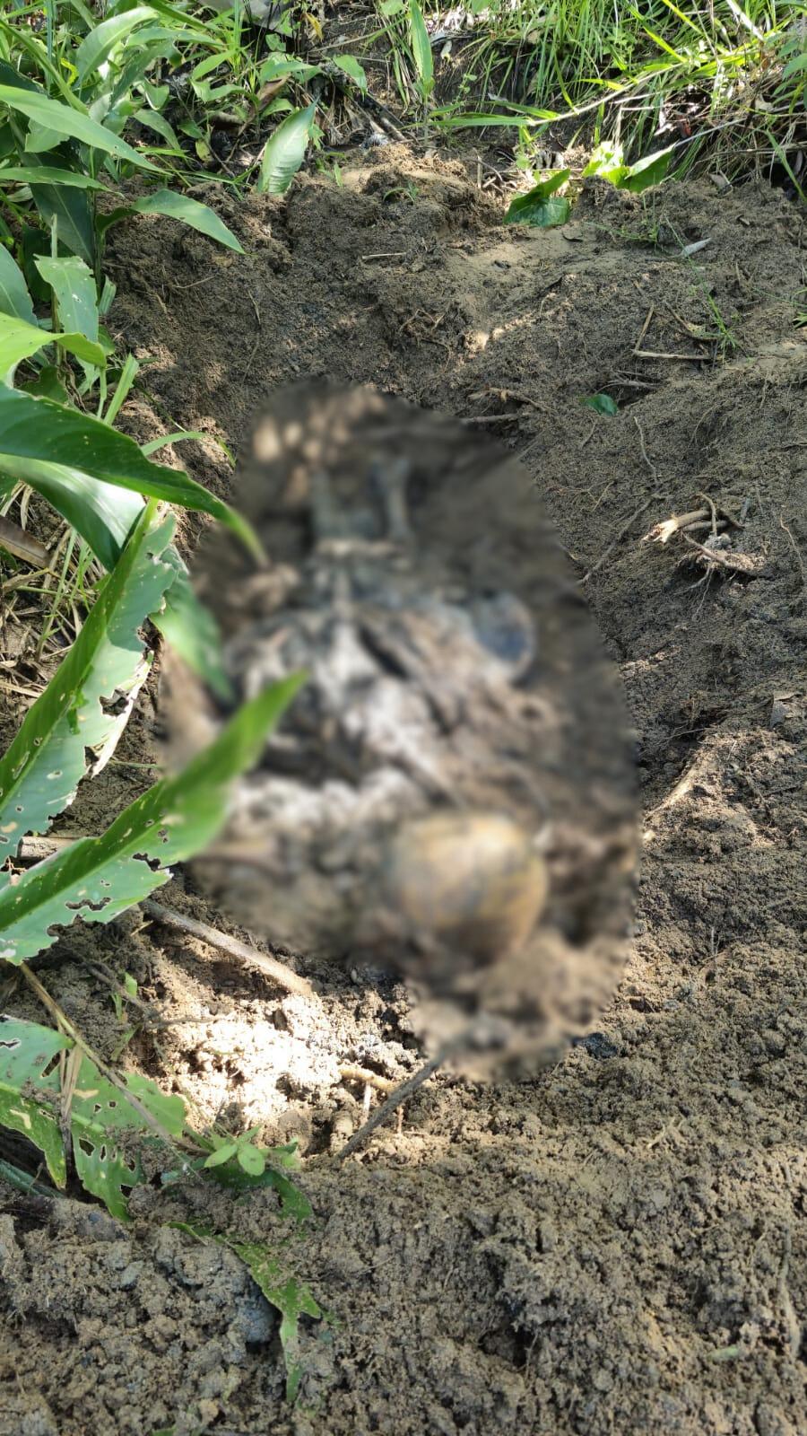 Corpo é encontrado em área de buscas no Litoral Norte de Alagoas