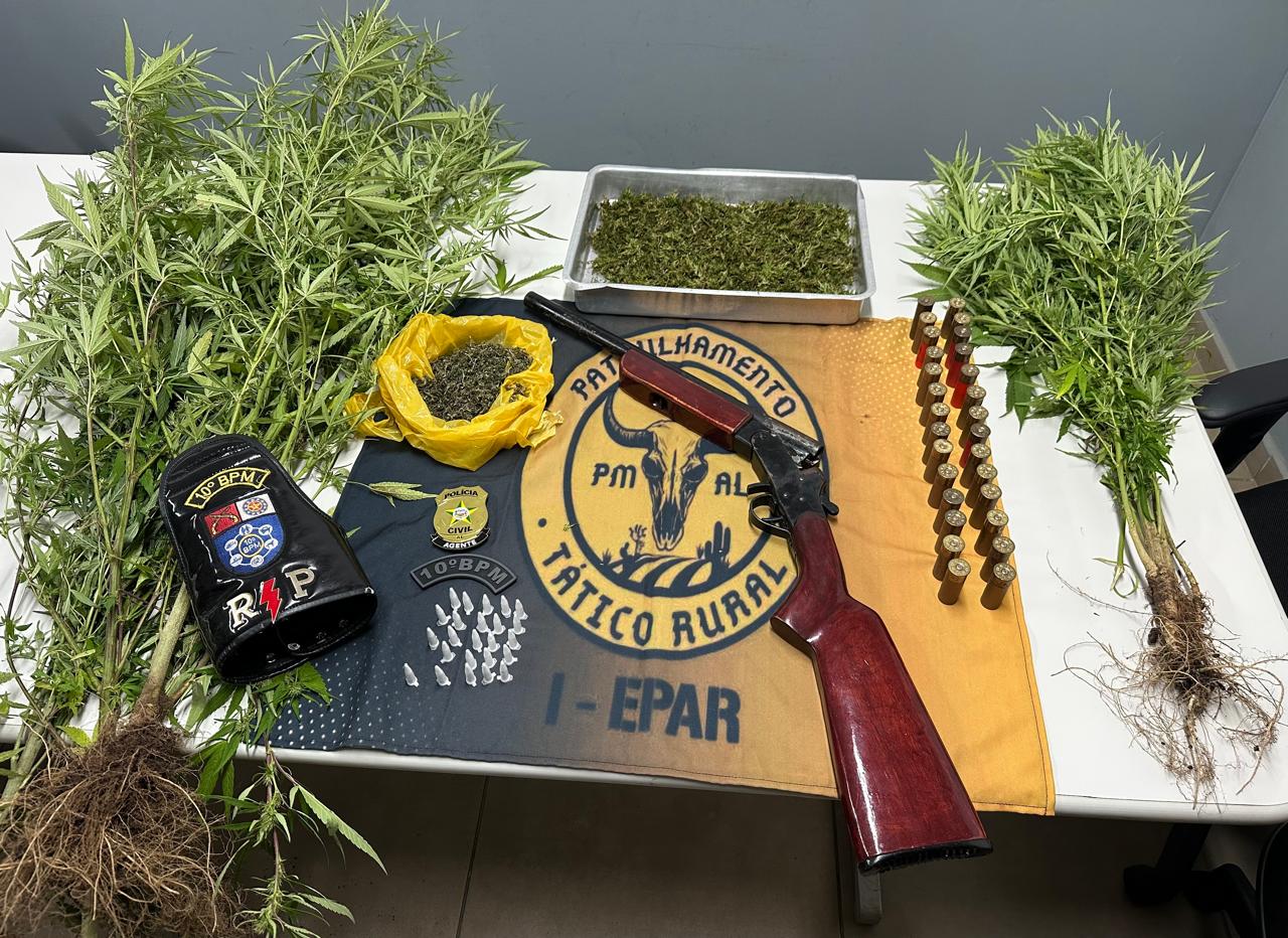 Plantação de maconha e arma de fogo são apreendidas em operação no Agreste