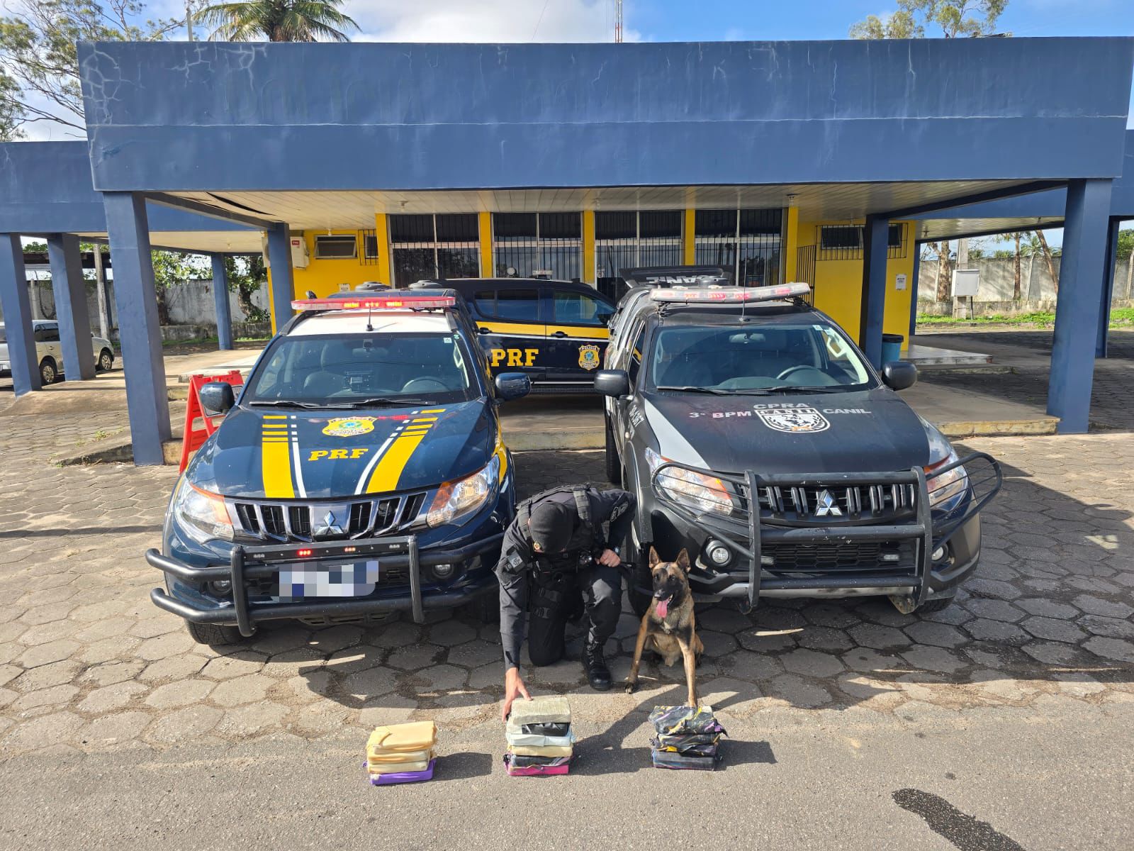 Mulher é presa em Alagoas transportando mais de 15 kg de maconha em ônibus interestadual