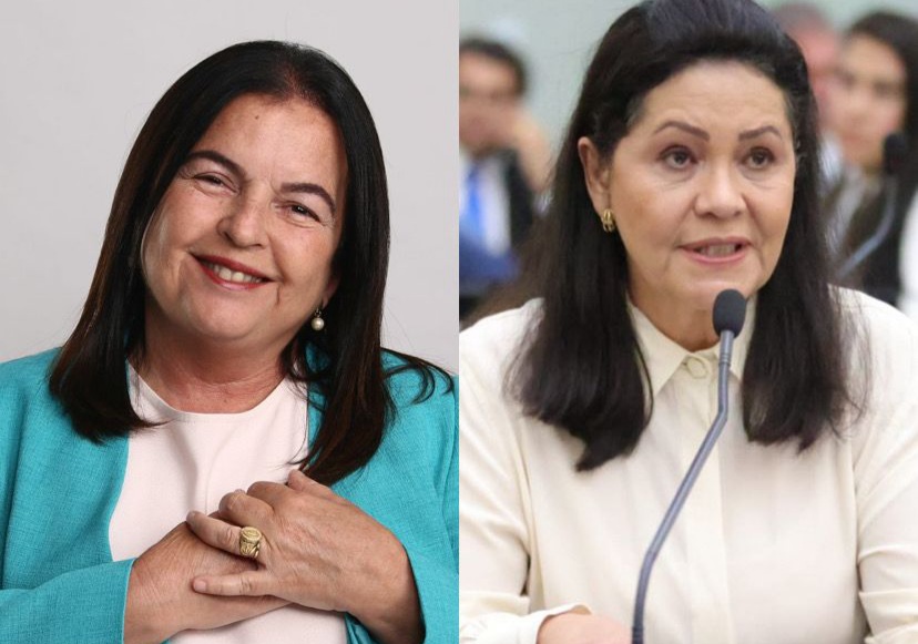Fátima, Cibele, Rose e Gabi: elas podem manter bancada feminina na ALE