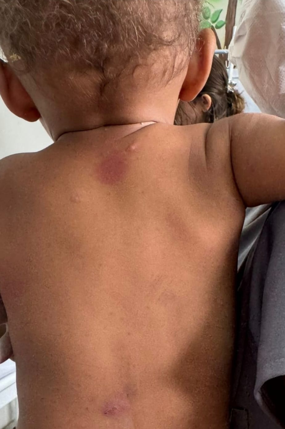 Gêmeos de 1 ano são resgatados após denúncia no interior de AL