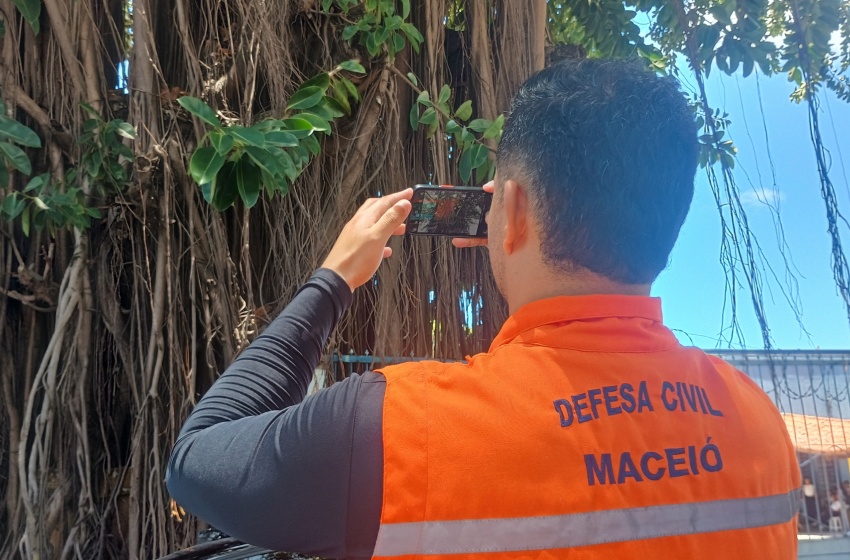 Defesa Civil avalia saúde das árvores em praças de Maceió com tecnologia
