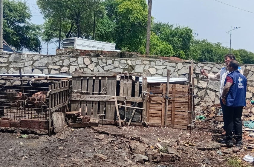 Vigilância Sanitária notifica pocilgas clandestinas na Levada em Maceió