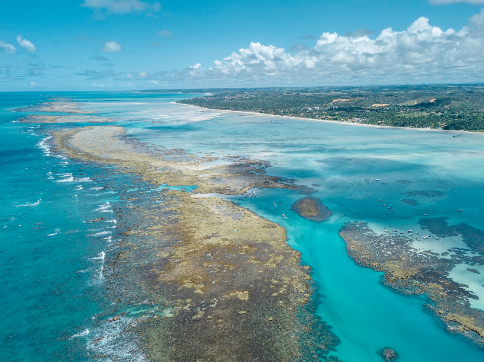 Projeto Rota dos Corais conecta Pernambuco e Alagoas em iniciativa inédita de turismo sustentável