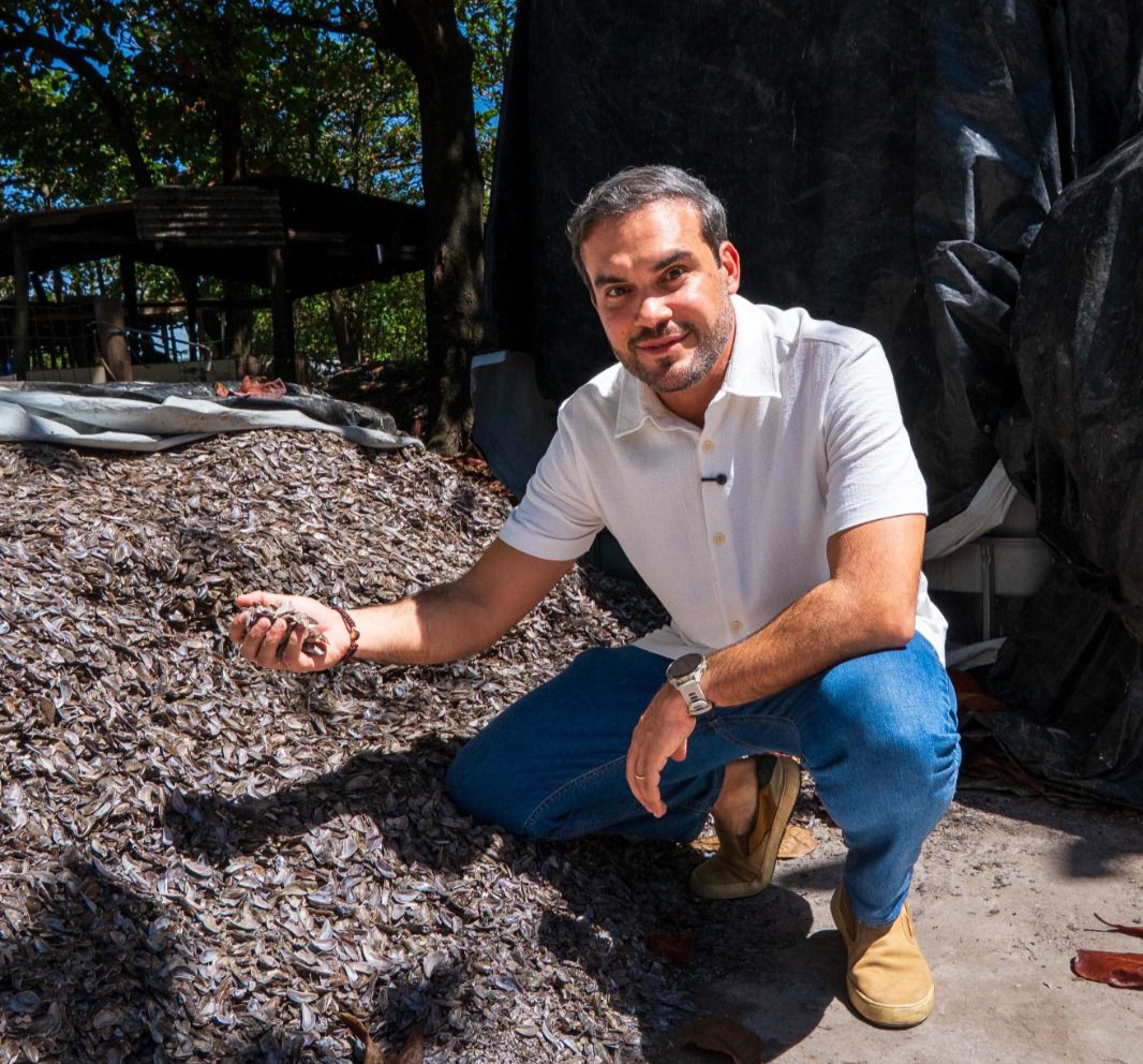 Davi Maia propõe cultivo de sururu com tecnologia para melhorar renda de marisqueiros