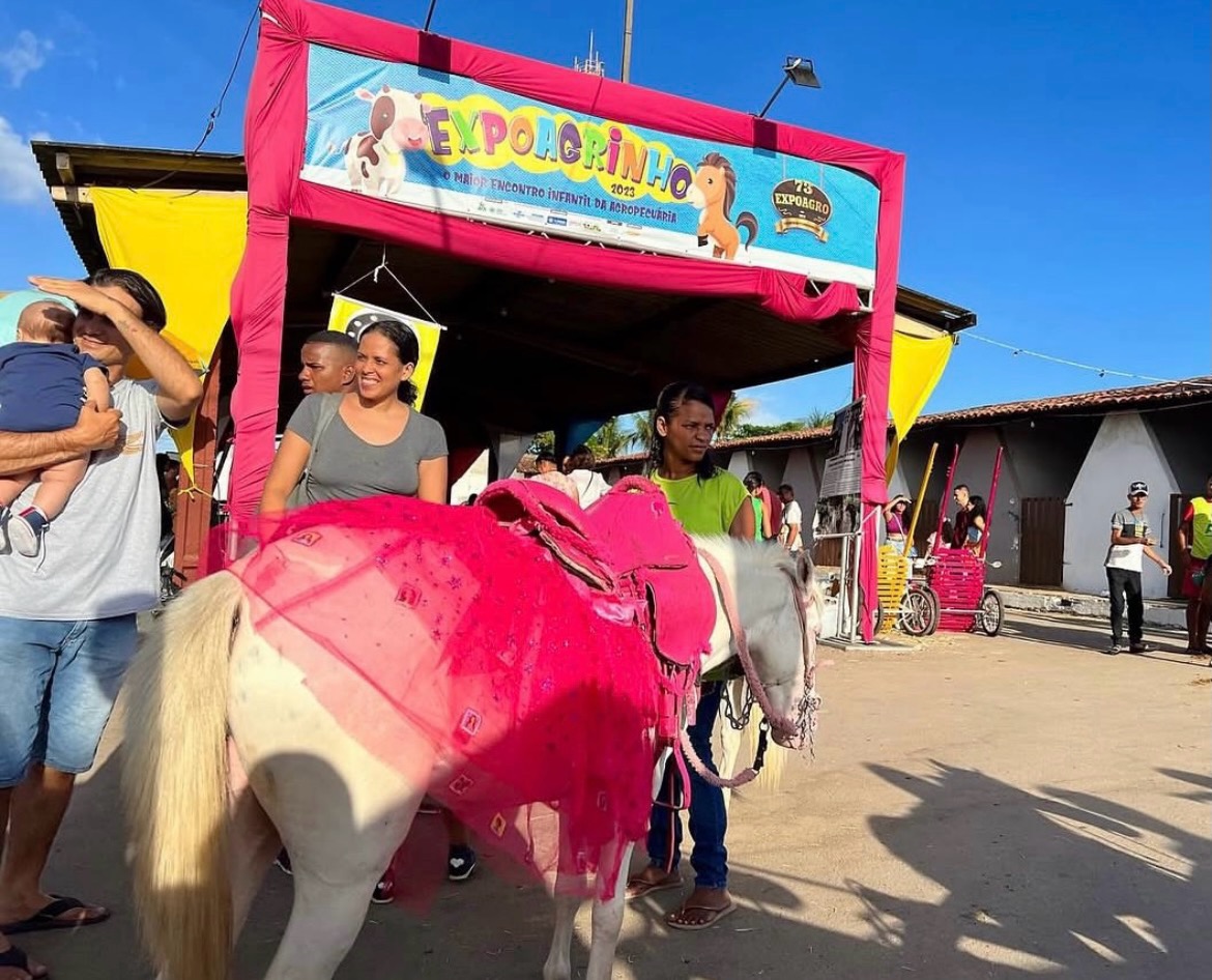 Expoagrinho terá minifazenda, passeios de charrete e atrações infantis
