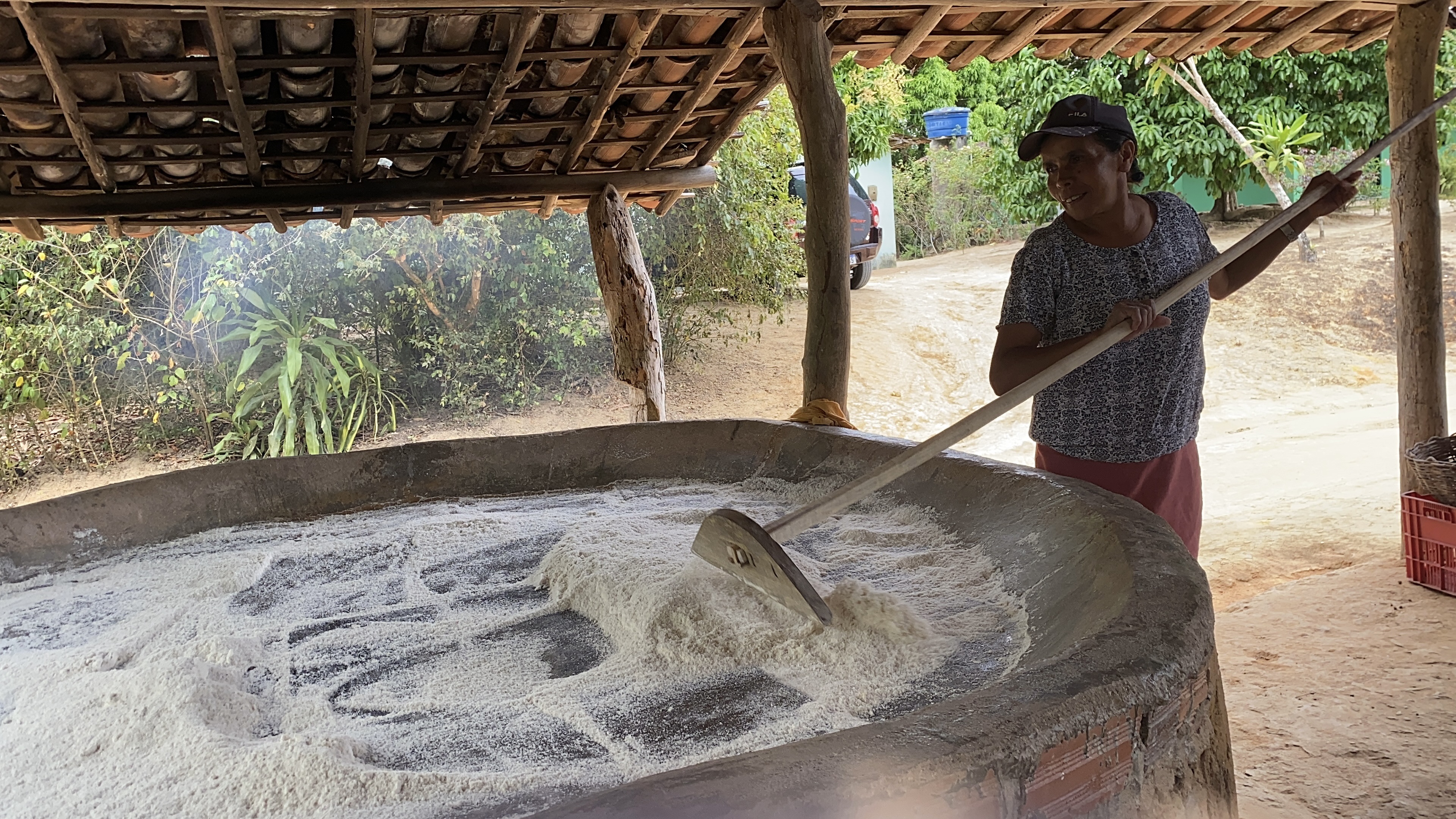 Tradição da farinha de mandioca em São José da Laje fortalece cultura e economia local