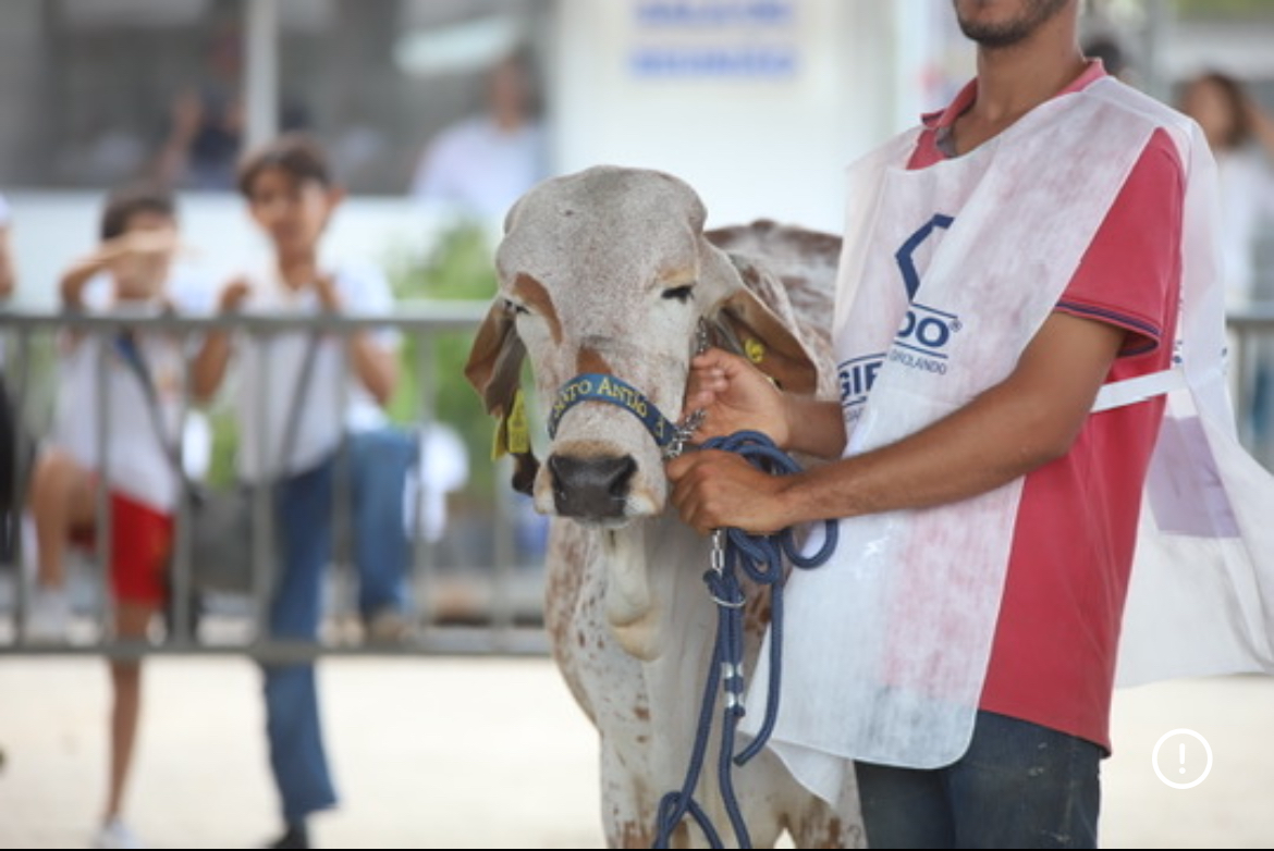 Expo Bacia Leiteira 2025 tem data e programação confirmadas