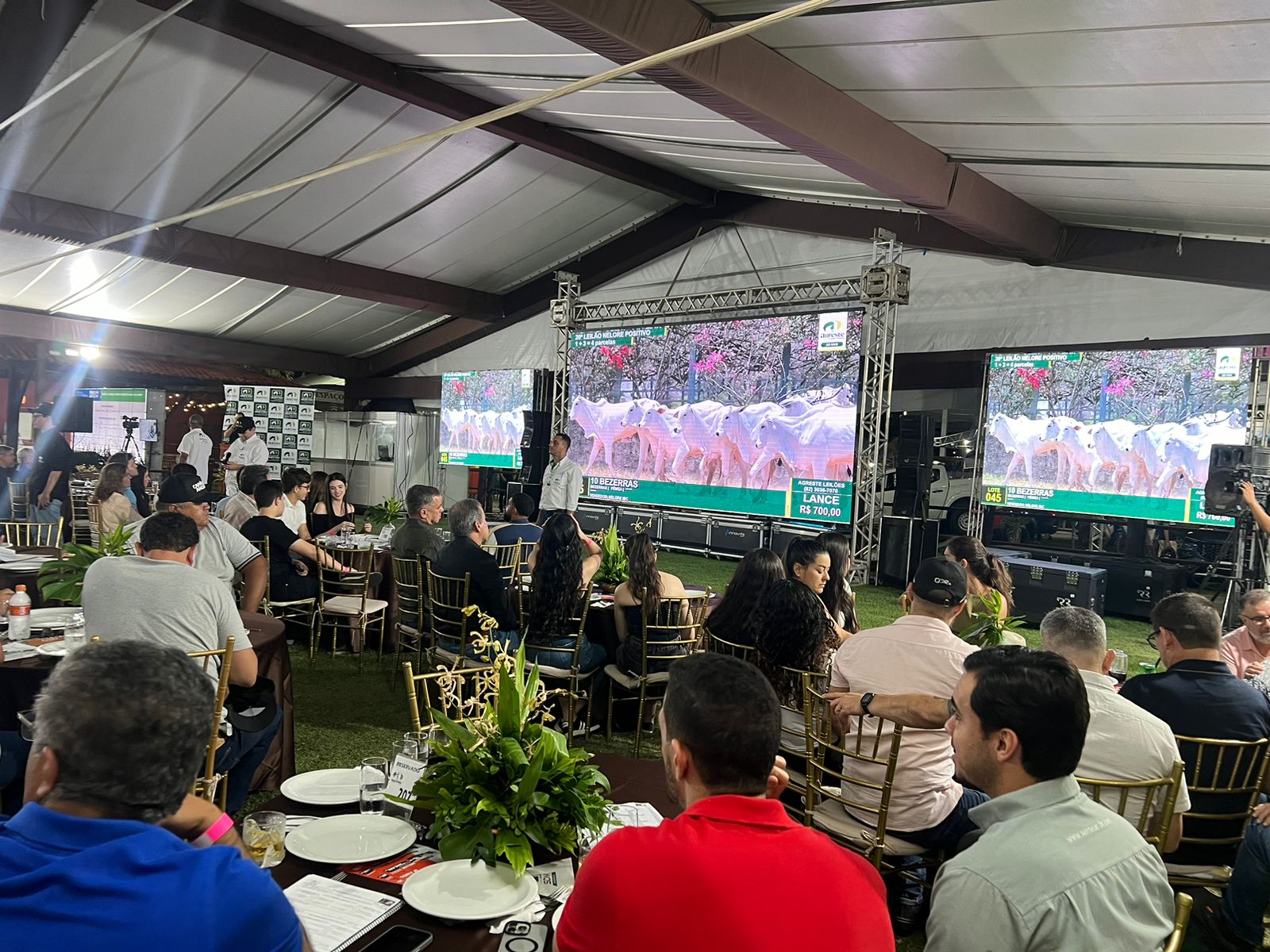 Remates da Expoagro-AL 2026 vão aquecer negócios no Norte e Nordeste