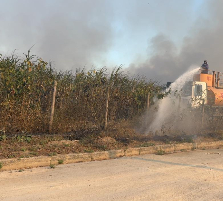 Incêndios criminosos em canaviais causam danos em Alagoas