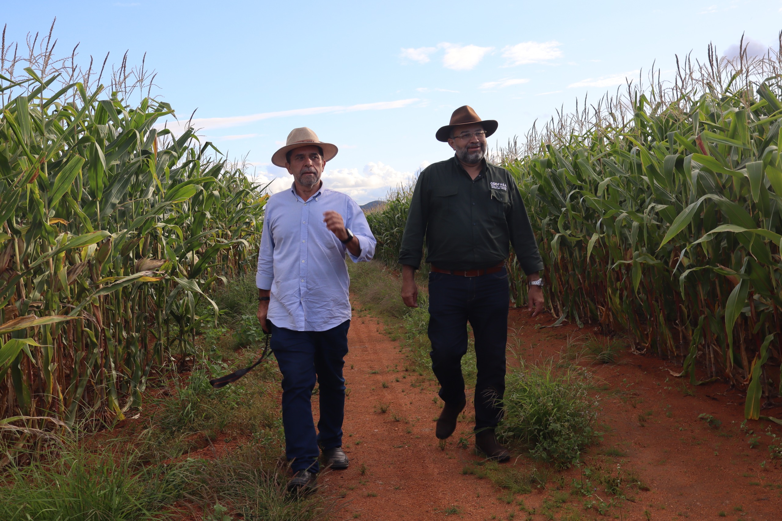 Unicafes-AL realiza visita técnica à primeira cooperativa de milho do estado de Alagoas