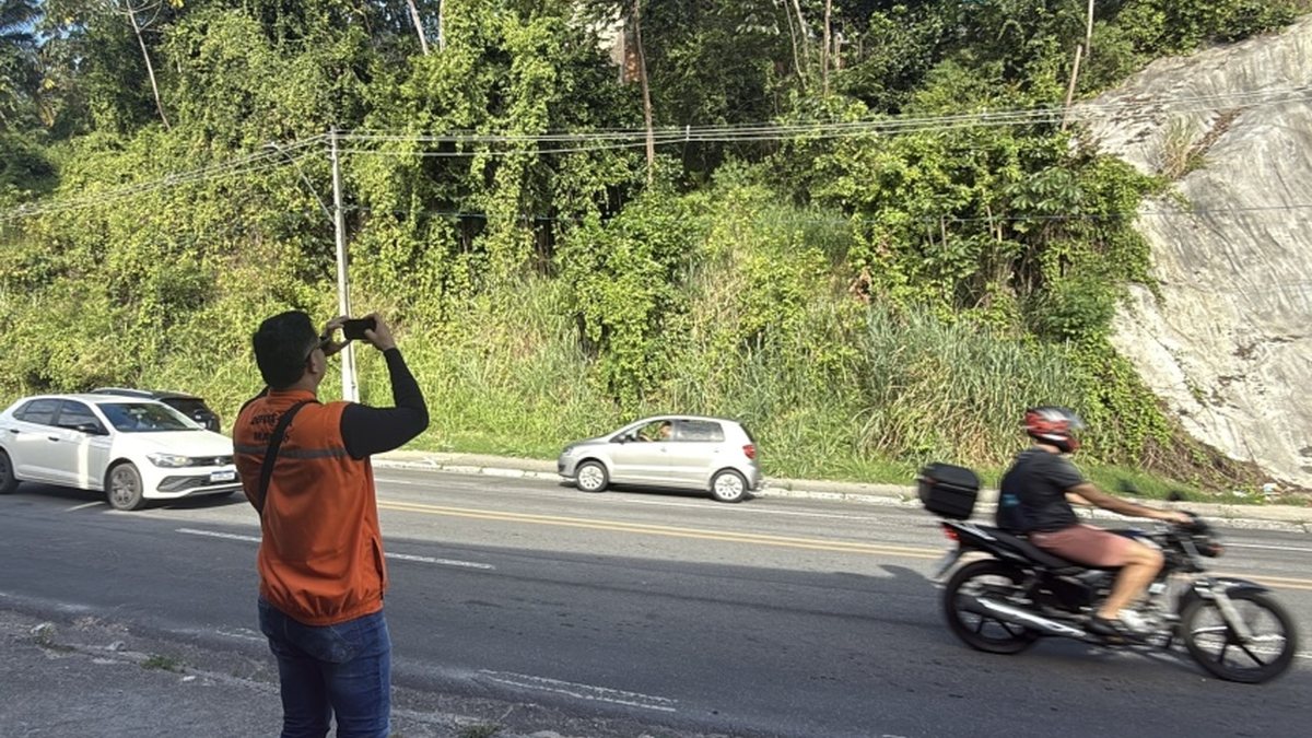 Defesa Civil identifica 58 árvores em situação de risco em Maceió