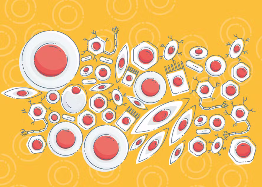 Homem é curado do HIV após transplante de células-tronco em caso considerado inesperado