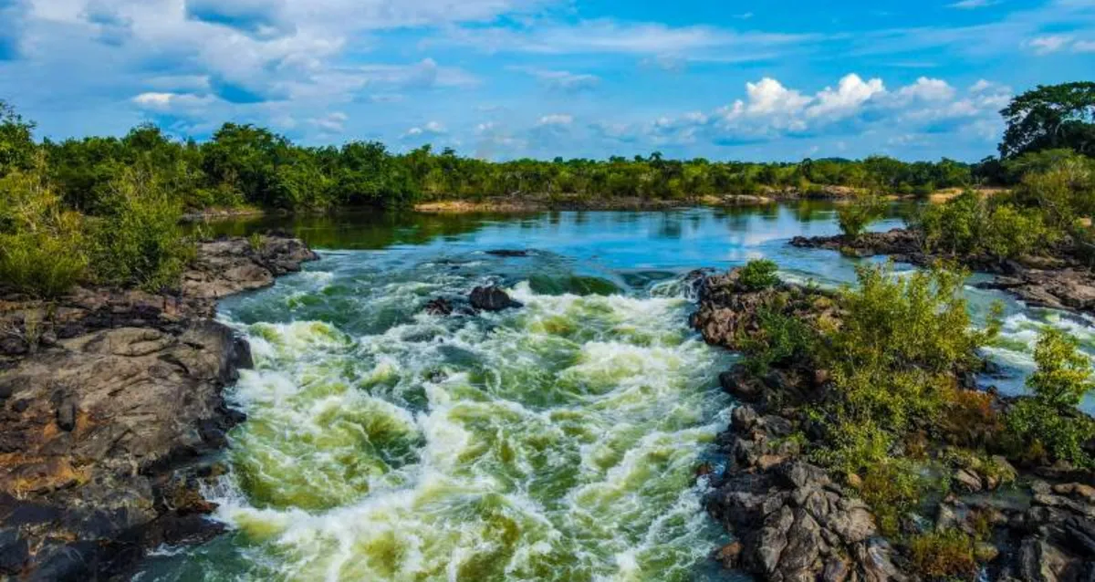 Integrante de projeto alagoano desaparece após incidente em embarcação no Pará