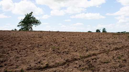Pão de Açúcar tem emergência reconhecida pelo Governo Federal por seca