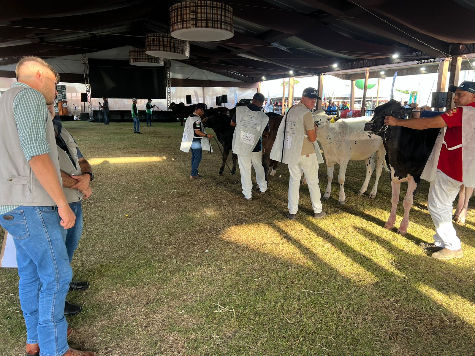Etapa do Circuito Megaleite movimenta pistas da Expoagro e garante pontuação nacional ao rebanho Girolando
