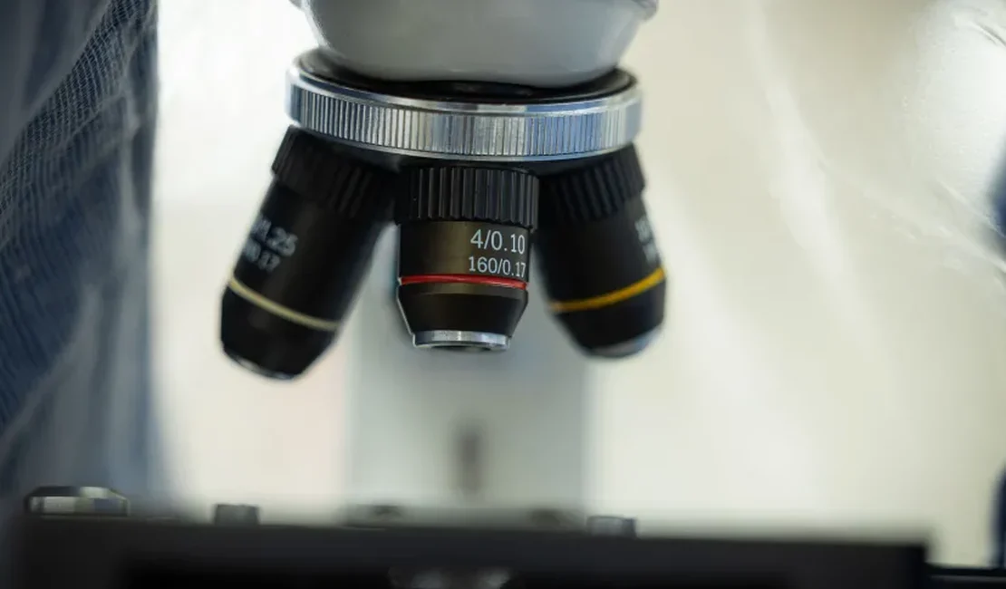 Pesquisadores investigam reaparecimento de vírus sabiá