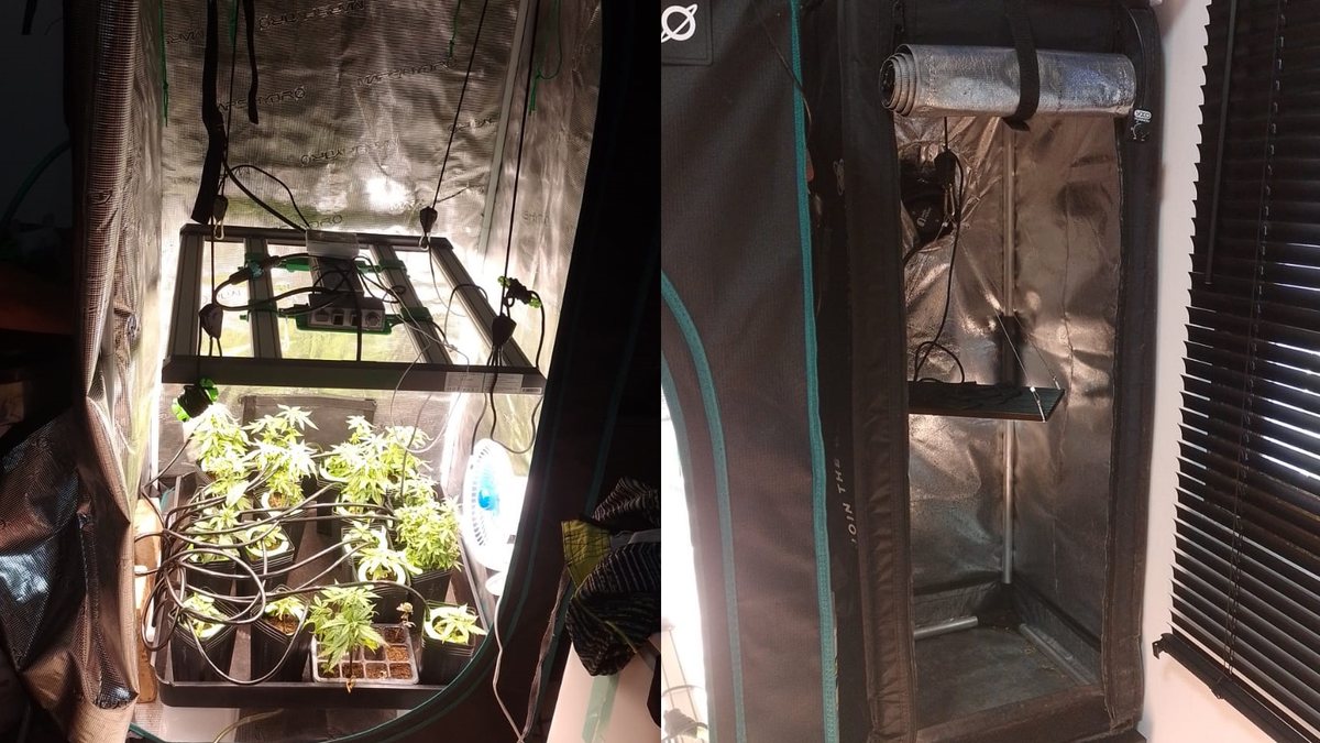 Polícia Civil estoura laboratório de maconha no Antares