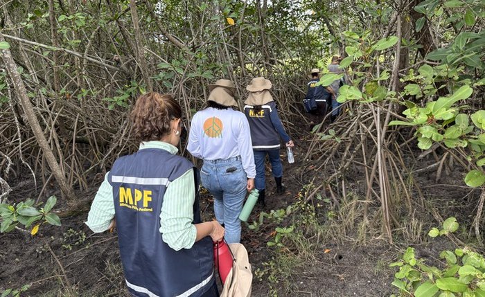 MPF acompanha recuperação de manguezais na Ilha do Lisboa, em Maceió