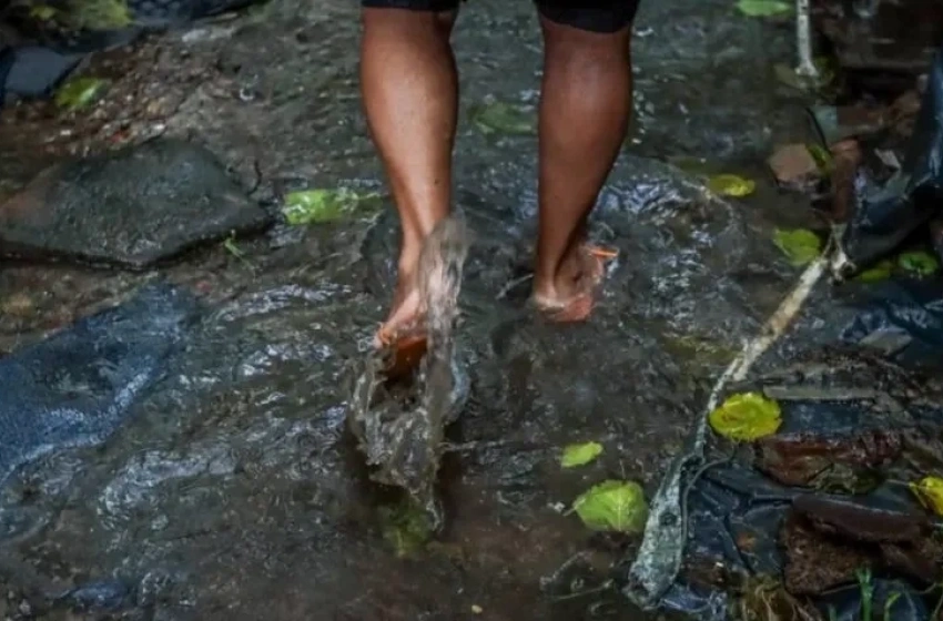 Maceió reforça alerta sobre leptospirose durante período chuvoso