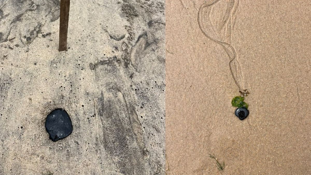 Laudo da Ufal confirma que óleo achado em praia de Maceió é petróleo