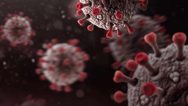 Alagoas registra 34 novos casos e nenhum óbito por Covid-19